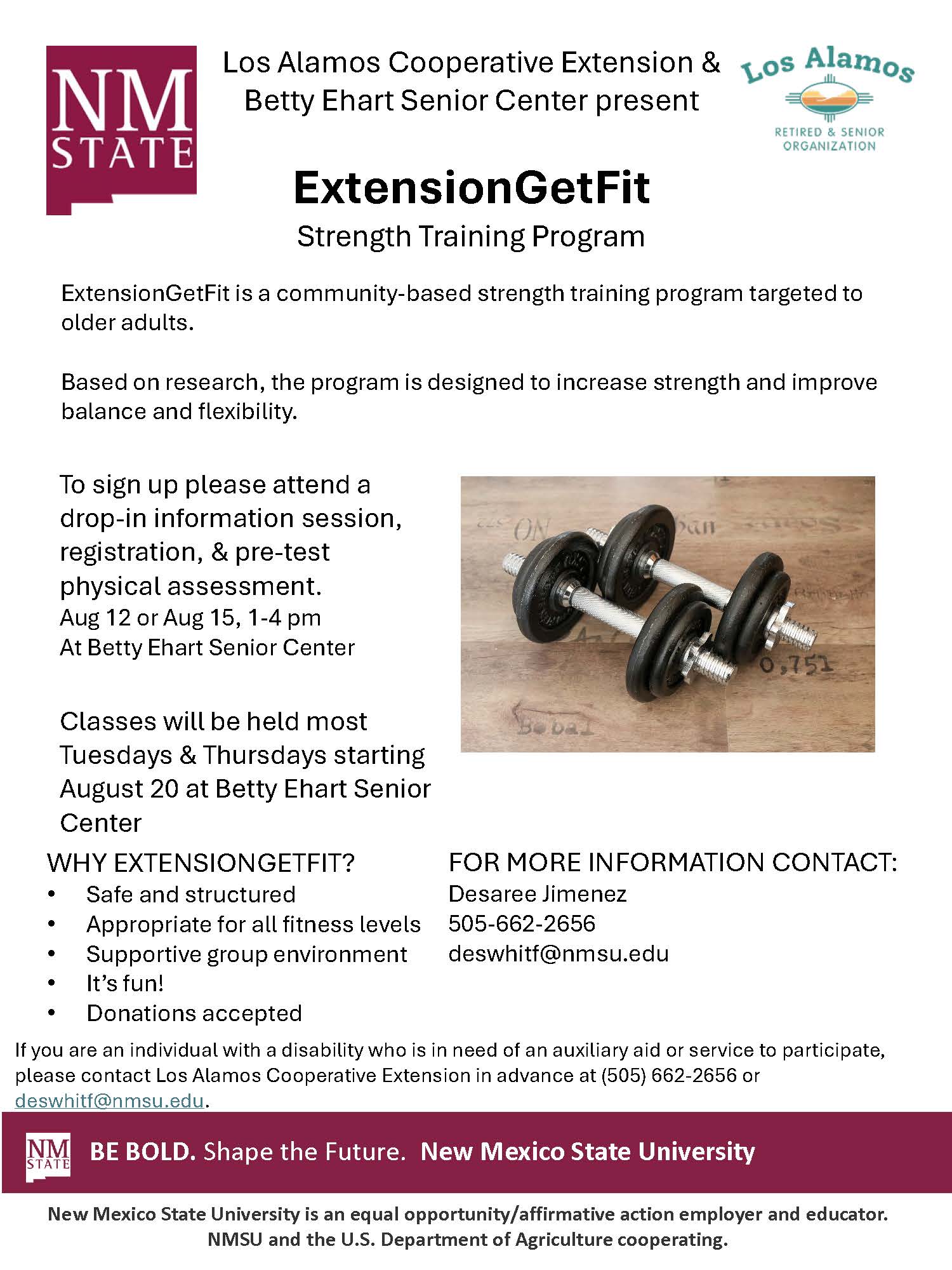 ExtensionGetFit Flyer